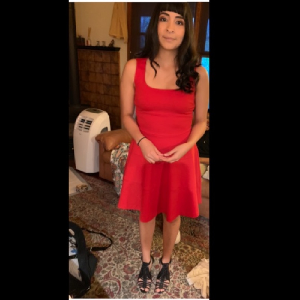 Banana Republic skater style dress